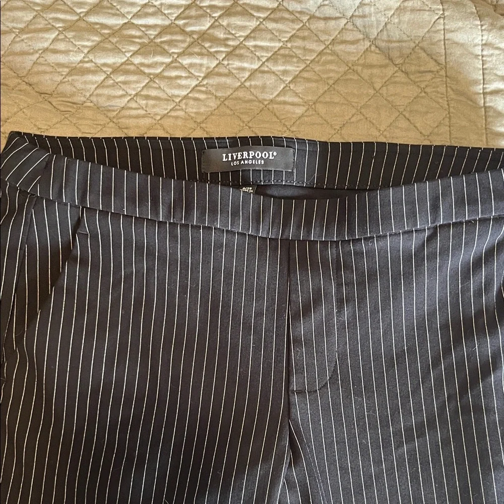 Liverpool Kayla Pull On Trouser Ankle Pants Size 8/29 Black White Pinstripe - Picture 2 of 4